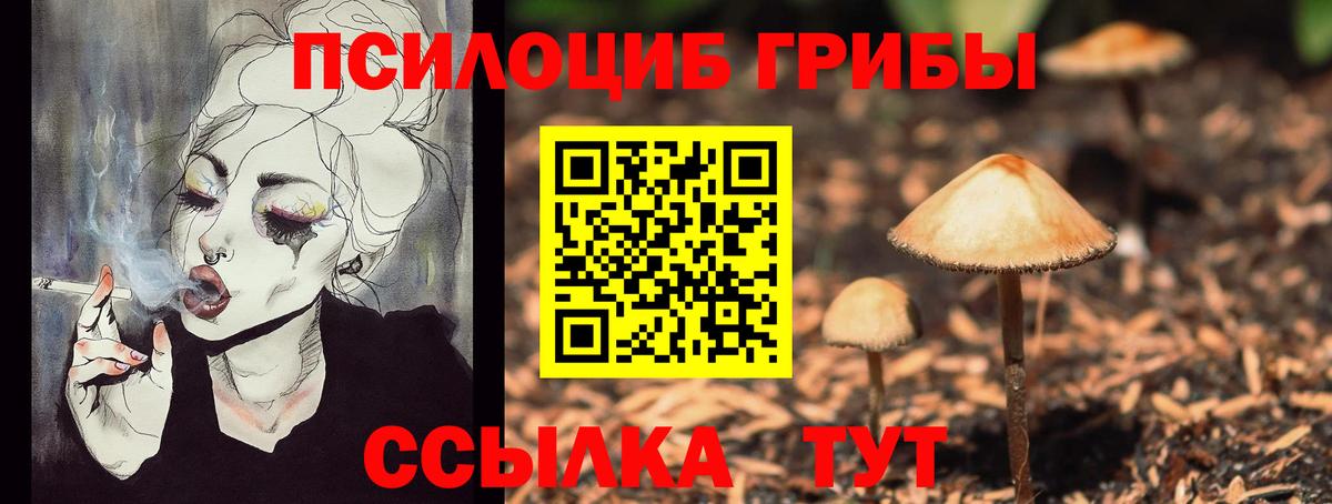 Псилоцибиновые грибы Magic Shrooms Ржев